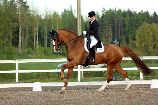 Tia Mutikainen ja Mr. Murphy SM-kisoissa 2013. Kuva Heidi Lammi.