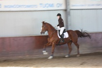 Salla-Mari Kostia - Desperado
© Anna K