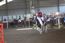 Noora Granath - Jolly Jumper
© Anna K