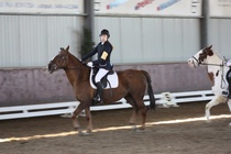 Malin Kosonen - Grit
© Anna K