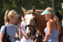 Hanna Kanerva, Hovihar ja Heidi Junkkarinen tuntiratsastajien mestaruuskisoissa jokunen vuosi sitten.