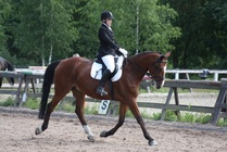 Elisa Kankkunen - Pik Leon
© Anna K