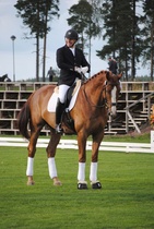 Kuva 6-vuotiscupin palkintojenjaosta, voittajat Teemu ja Seppo 2014. Kuva Miia Värri / Harjun Oppimiskeskus.