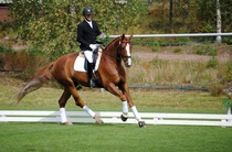 Kuva 6-vuotiscupin palkintojenjaosta, voittajat Teemu ja Seppo 2014. Kuva Miia Värri / Harjun Oppimiskeskus.