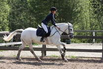 Senioriratsukoiden estemestari 2014 Hanna Kanerva - Silver
© Anna K