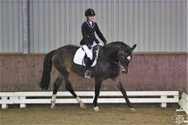 HeC, Rothschilde ja Nea
(c) Sara Haanpää