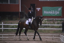 Jenni Ek - Biko (rekisterinimi Igo Drosmigais), 
© Rondy Stenman / Teresa Pollari