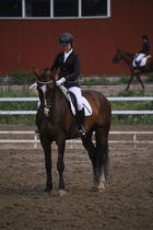 Rondy Stenman - Biko (rekisterinimi Igo Drosmigais), 
© Rondy Stenman / Teresa Pollari