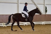 © Filippa Westerlund