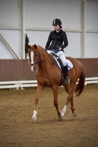 © Filippa Westerlund