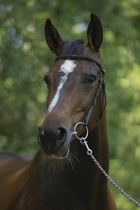 Campina Grande, kuva Mikael Jokinen.