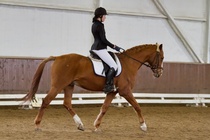 © Filippa Westerlund