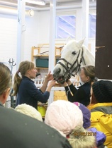 Hampaiden raspausta. © Anu Helomaa