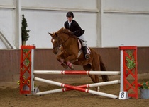 © Filippa Westerlund