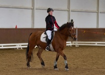 © Filippa Westerlund