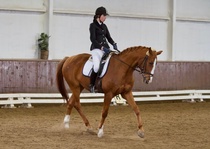 © Filippa Westerlund