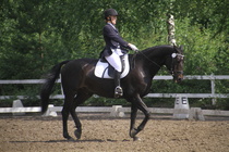 Elisa Kankkunen - Rex (rekisterinimi Rekets) © Rondy Stenman / Teresa Pollari