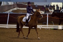 © Filippa Westerlund