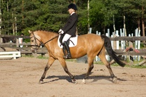 © Filippa Westerlund