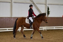 © Filippa Westerlund