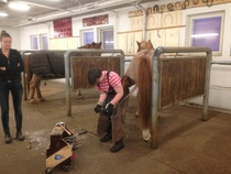 Kengityspajalla. © Sanna Aspholm