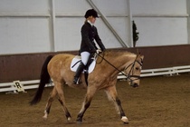 © Filippa Westerlund