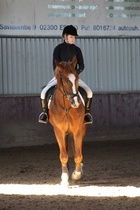 Jenni Kannelsalo - Cabu
© Anna K