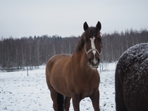 © Fanni-Lotta Haataja