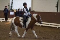 © Filippa Westerlund