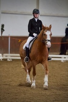 © Filippa Westerlund