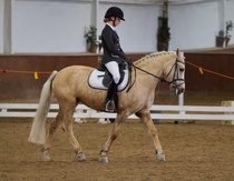 © Filippa Westerlund