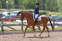 © Filippa Westerlund