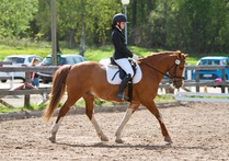 © Filippa Westerlund