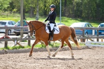 © Filippa Westerlund