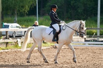 © Filippa Westerlund