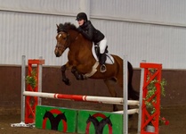 © Filippa Westerlund