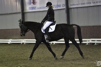 HeB, Rex ja Lotte
(c) Sara Haanpää