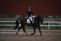 Rondy Stenman - Biko (rekisterinimi Igo Drosmigais), 
© Rondy Stenman / Teresa Pollari