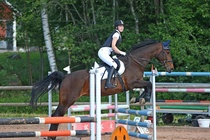 Kuva Primus / Emilia Alamäki