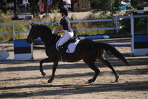 Milla Himberg – Osborne (rekisterinimi Otto-Osborn) © Rondy Stenman / Teresa Pollari