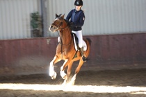 Sofia Sinisalmi - Bruno
© Anna K