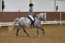 © Filippa Westerlund