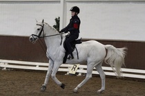 © Filippa Westerlund