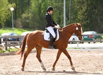 © Filippa Westerlund