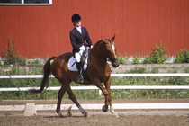Susanna Salmio – Petrus (rekisterinimellään Peetrus) © Rondy Stenman / Teresa Pollari