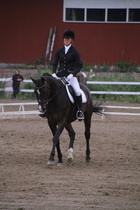 Teresa Pollari – Victor (rekisterinimeltään Victor vd Kiekenshoef) © Rondy Stenman / Teresa Pollari