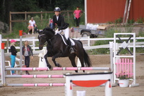 Iiris Hakaste - Rex (rekisterinimi Rekets) © Rondy Stenman / Teresa Pollari