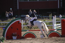 Viivi Sahramo - Silver (rekisterinimi Silver Promise) © Rondy Stenman / Teresa Pollari