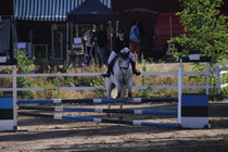 Viivi Sahramo - Silver (rekisterinimi Silver Promise) © Rondy Stenman / Teresa Pollari