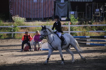 Viivi Sahramo - Silver (rekisterinimi Silver Promise) © Rondy Stenman / Teresa Pollari
